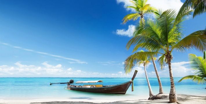 golden triangle tour with goa