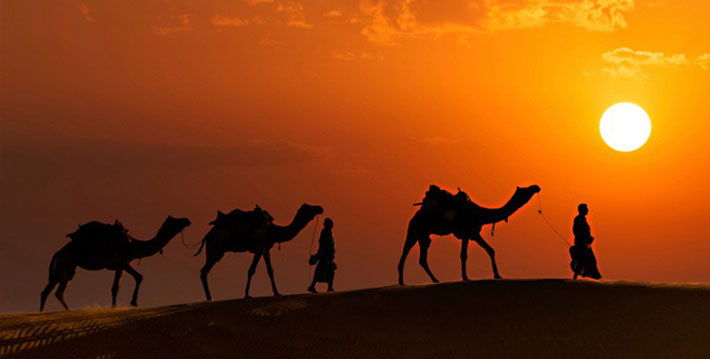 royal rajasthan tour